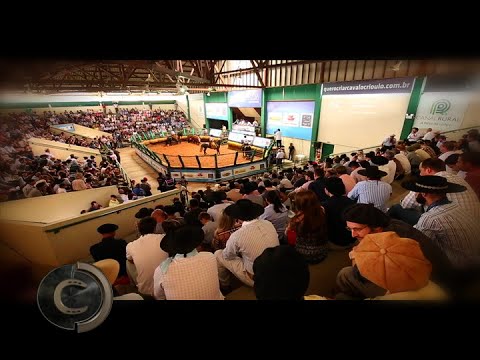 Bocal de Ouro 2016 - Parte 01