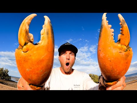 GIANT CRAB Catch and Cook - BOW n ARROW vs FISH
