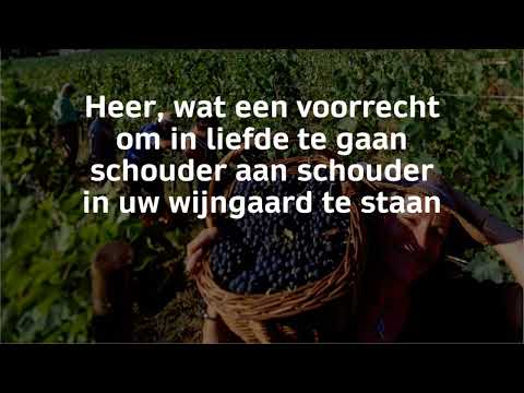 Opwekking met tekst 249 Heer wat een voorrecht