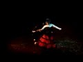 Tiger Lillies Killer - Florencia Benitez 