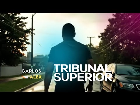 Tribunal Superior - Carlos Alex