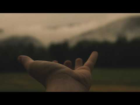 Henrik Schøneberg- Only because of you