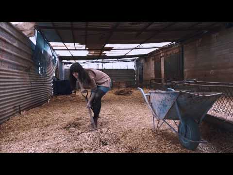 El Árbol.Buenos precios, buenos frescos. Oferta cordero 6,89€. Hasta 14/04/15