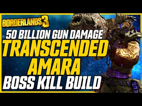 Ultimate Boss Killing Amara Build (+Gamesave) // Transcended Amara V2 // Borderlands 3