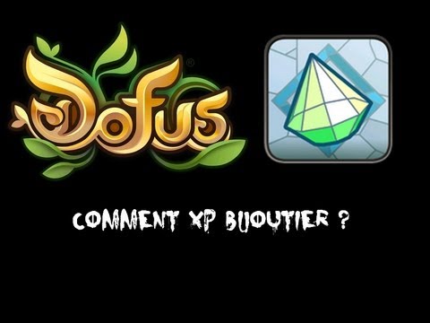 comment monter bijoutier rapidement dofus