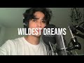 Taylor Swift - Wildest Dreams (Cover)