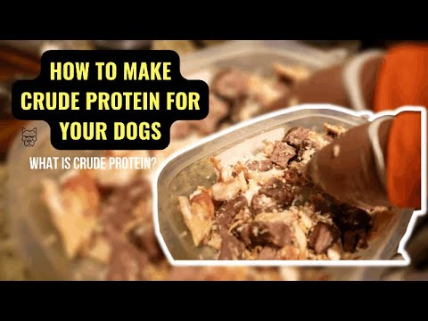 How to make crude protein for your dog? What is crude protein?!!!!