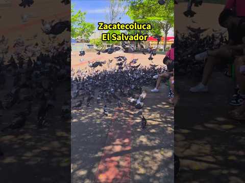 Una maravillosa Imagen de Zacatecoluca en El Salvador #elsalvadorengrande #zacatecolucaelsalvador