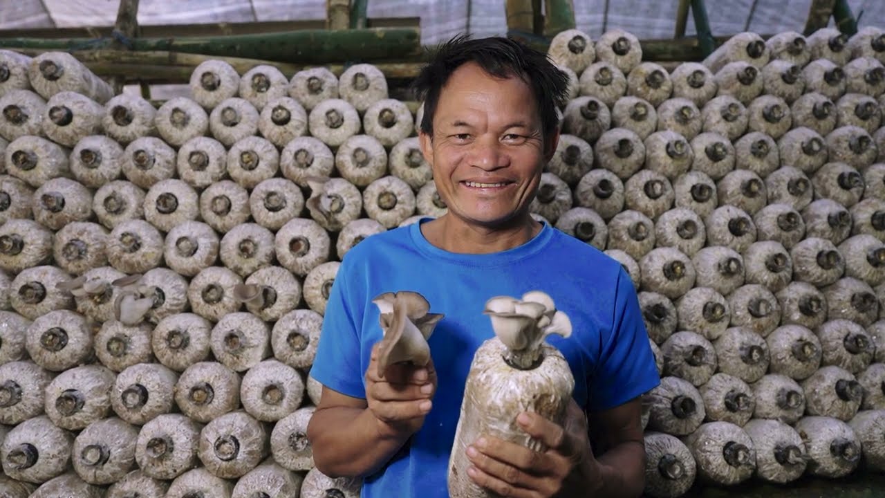 From Mushroom Demo House to Study Abroad: Mr. Vard’s Family Success