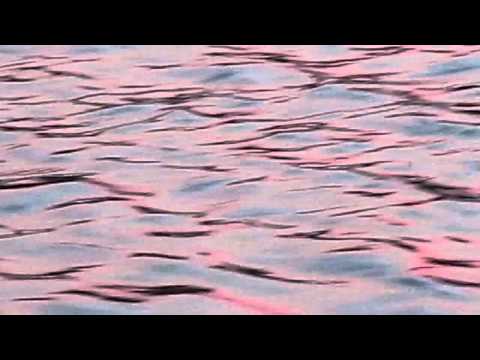 Wealth (Talk Talk)