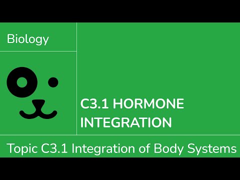 C3.1 Hormone Integration [IB Biology SL/HL]