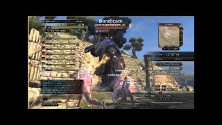 【DDON】グランエント２分８秒討伐【2015/11/21】