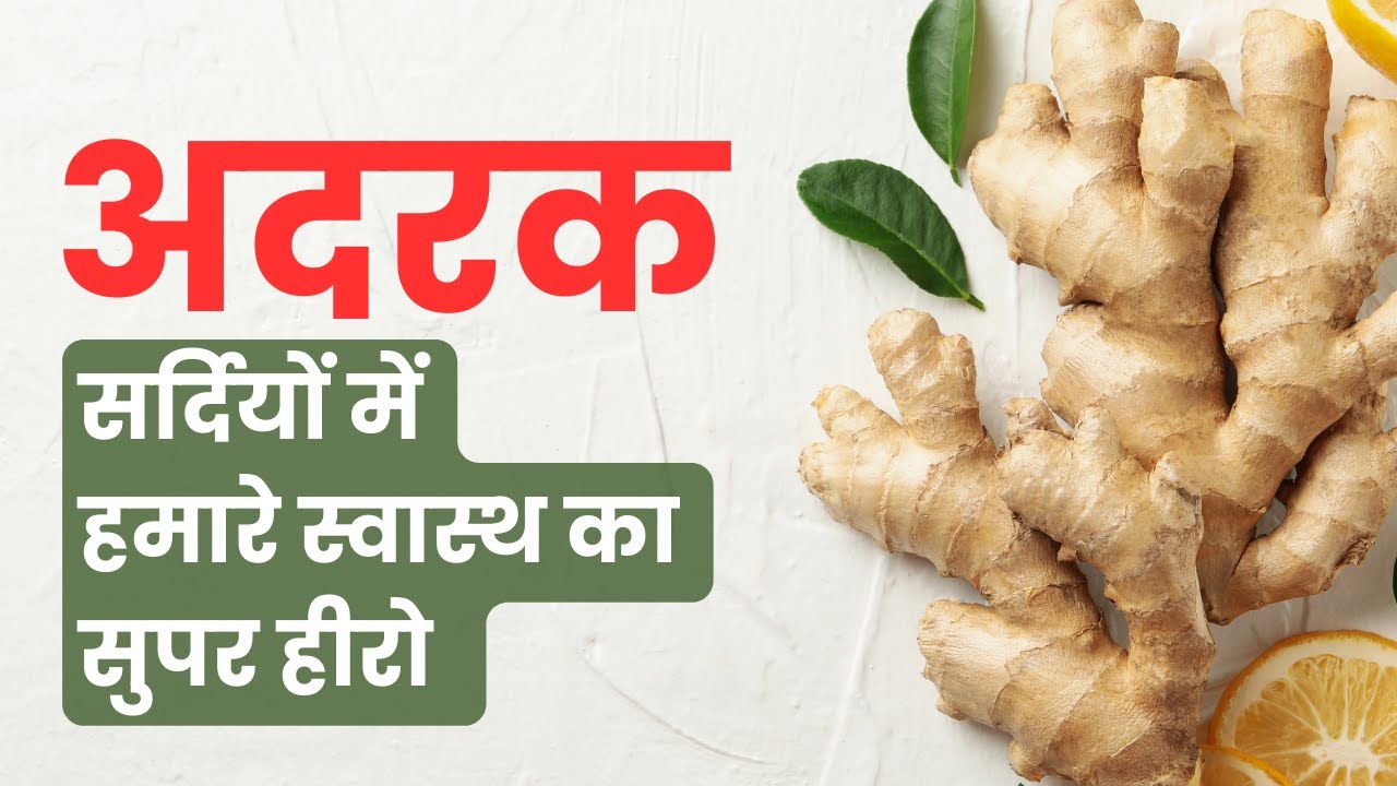 Winter Wellness: Power of Ginger for Immunity, Warmth, and Digestive Harmony- Watch Video