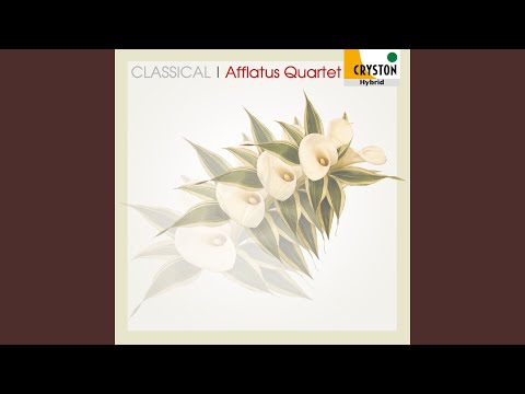Adagio und Allegro in F Minor K. 594 [arrange:M. Munclinger]