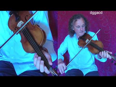 Martin Hayes - John Naughtons Reel - Lesson #9