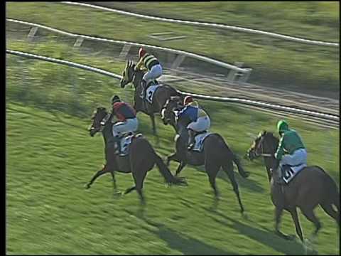 Galoppo 03/08/2016 - 1° corsa