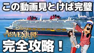 【完全攻略ガイド】新ディズニーアドベンチャー徹底解説【シンガポール発着】