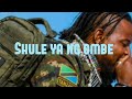Shule Ya Ng Ombe Bhalengi Official Audio James Macomputer