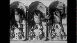 The Dust Brothers - Space Monkeys