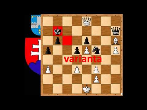 8.3. IM János Könnyű - IM Arkadiusz Leniart , 2.časť