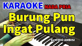 Download lagu BURUNG PUN INGAT PULANG - Trio Ambisi | KARAOKE HD mp3 Download lagu BURUNG PUN INGAT PULANG - Trio Ambisi | KARAOKE HD mp3