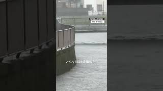 【速報】台風6号、東京でレベル4氾濫危険情報　杉並区の善福寺川の様子