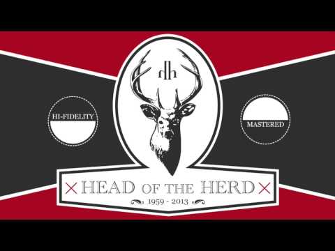 Elizabeth - Head of the Herd