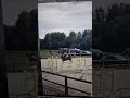 Poney D de 9 ans pour 110cm et plus