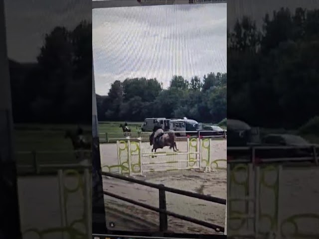 Poney D de 9 ans pour 110cm et plus