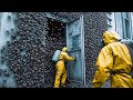 Man Buys An Illegal Deadly Spider That Breeds Rapidly And Turns The Entire Building Into A War Zone