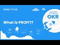 What is Profit?