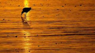 The Moody Blues-Twilight Time.wmv