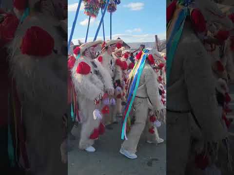 Oituz, December  31, 2023, Capra PesteVale