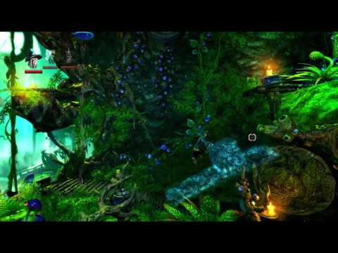 Trine 2 Hardcore walkthrough, PS4, Level 8 - Die Pilzhoehlen - Mushroom Caves - solo
