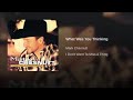 Mark Chesnutt-What Was You Thinking