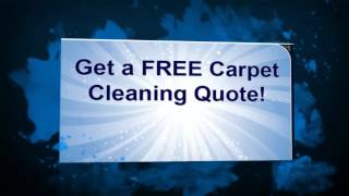 preview picture of video 'Best Carpet Cleaners in Tampa Florida is Zoomrite'