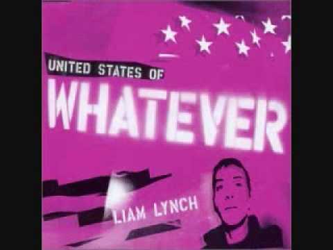 My united states of whatever by Liam Lynch