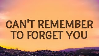 Download lagu Can t Remember to Forget You Shakira Rihanna... mp3