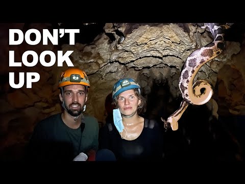 Crawling through a cave with snakes (EP 53)