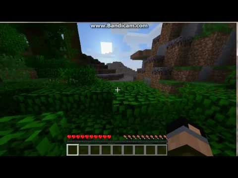 Aidyn Martin - Minecraft - Seed Generator For Jungle Biome v1.2.3