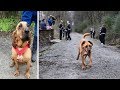 Adorable surprise racer finishes at the Elkmont Half Marathon in Alabama