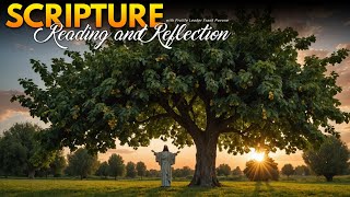 PFL-Daily Scripture Reading and Reflection: Go Uproot Some Mulberry Trees! Nov. 11, 2024