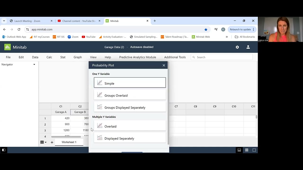 Minitab - web version, Normal Probability Plot