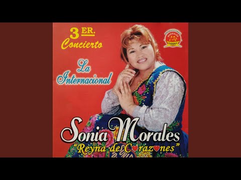 Estoy En Una Mesa - Sonia Morales