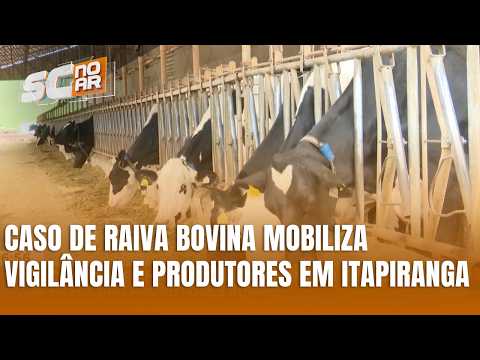 Caso de raiva bovina preocupa produtores rurais no Extremo-Oeste de SC