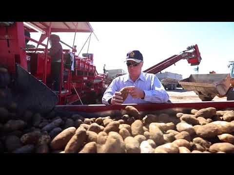 Carl Taylor–Nurture