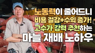 기존 대비 70% 비용 절감! 농사는 편해지고 수익은 증가하는 신개념 액상멀칭제