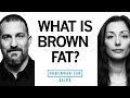 What Is Brown Fat Why It S Good How To Get It Dr Susanna Søberg Dr Andrew Huberman