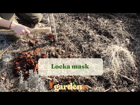 Locka mask - Trädgårdshacks med GardenR