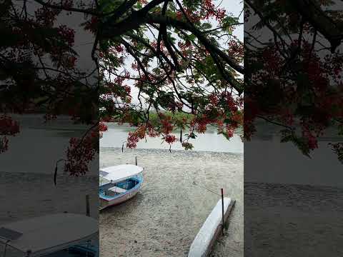 Madre de Deus, Bahia, Brasil